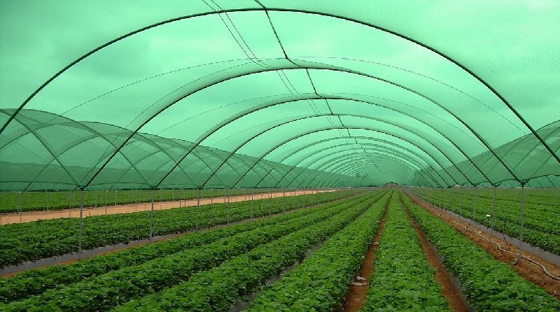 agro-shade-net-1588923291-5417547